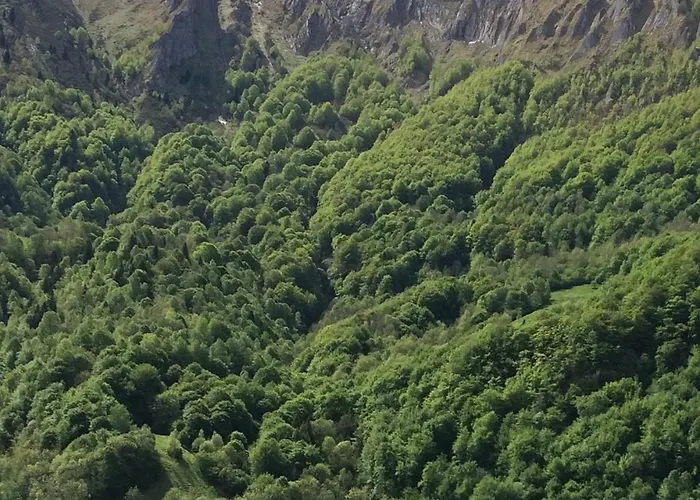 Les Alberts - L'estagnol Au Coeur De La Montagne - 3etoiles - 35m2 Σπίτι διακοπών